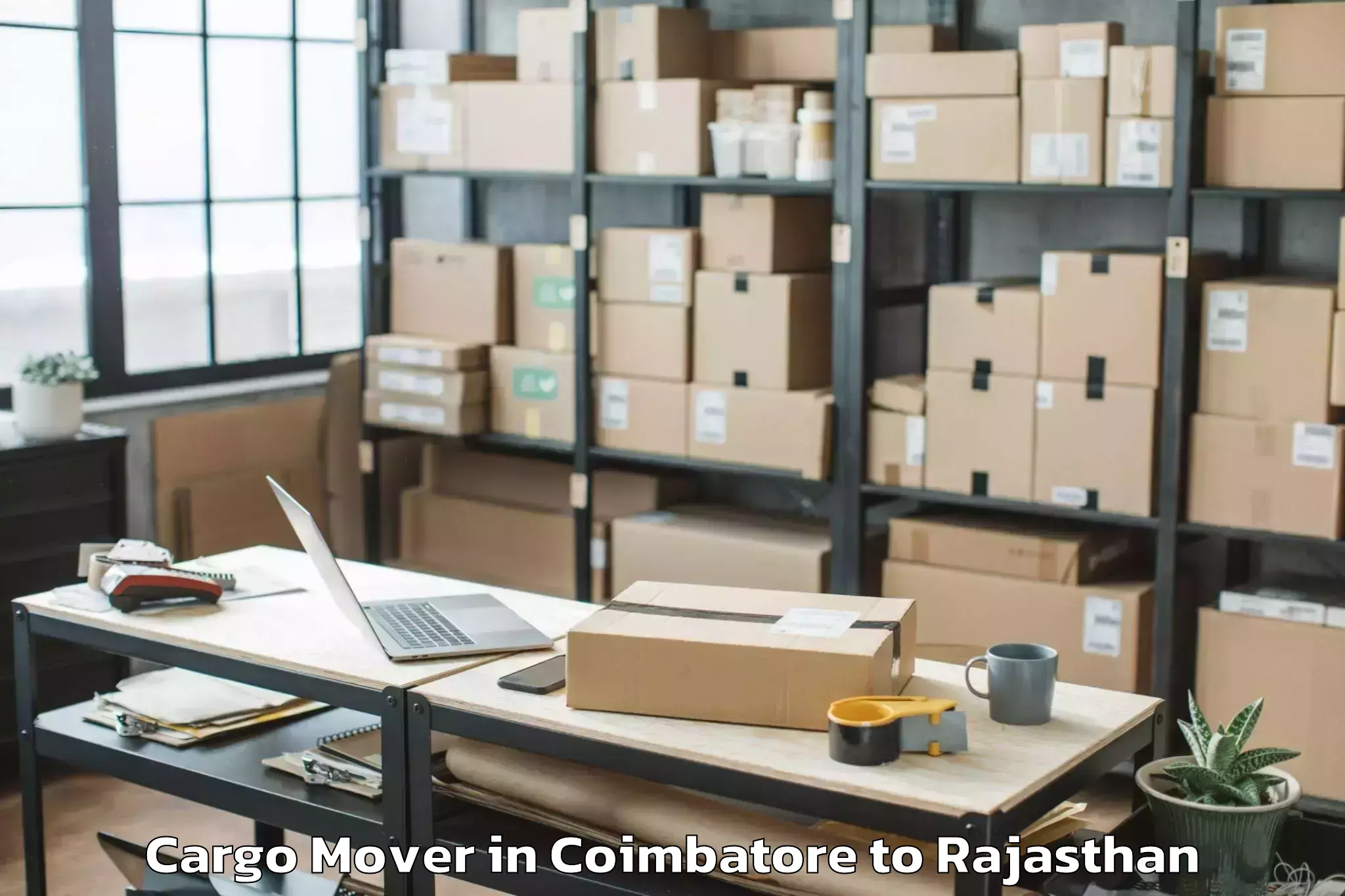 Reliable Coimbatore to Banswara Cargo Mover